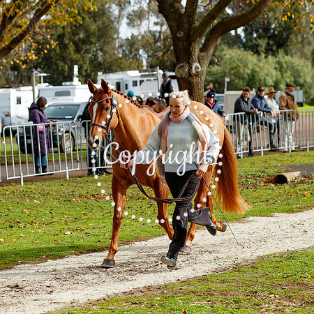 A72I2949