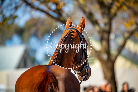A72I4764-227
