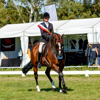 2022 Barastoc Horse Of The Year [Sunday Classes - All Photos Online]